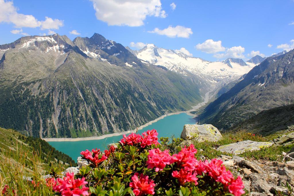 Alpen Appartements Hochmuth Майрхофен Номер фото